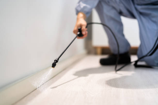 Licensed Pest Control service in Hillburn, NY - Show Me Pest Control