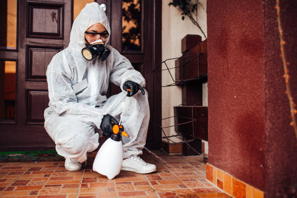 Reliable Wasp Removal contractor in Hillburn, NY by Show Me Pest Control